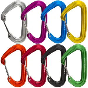 Bravo II Wiregate Carabiner